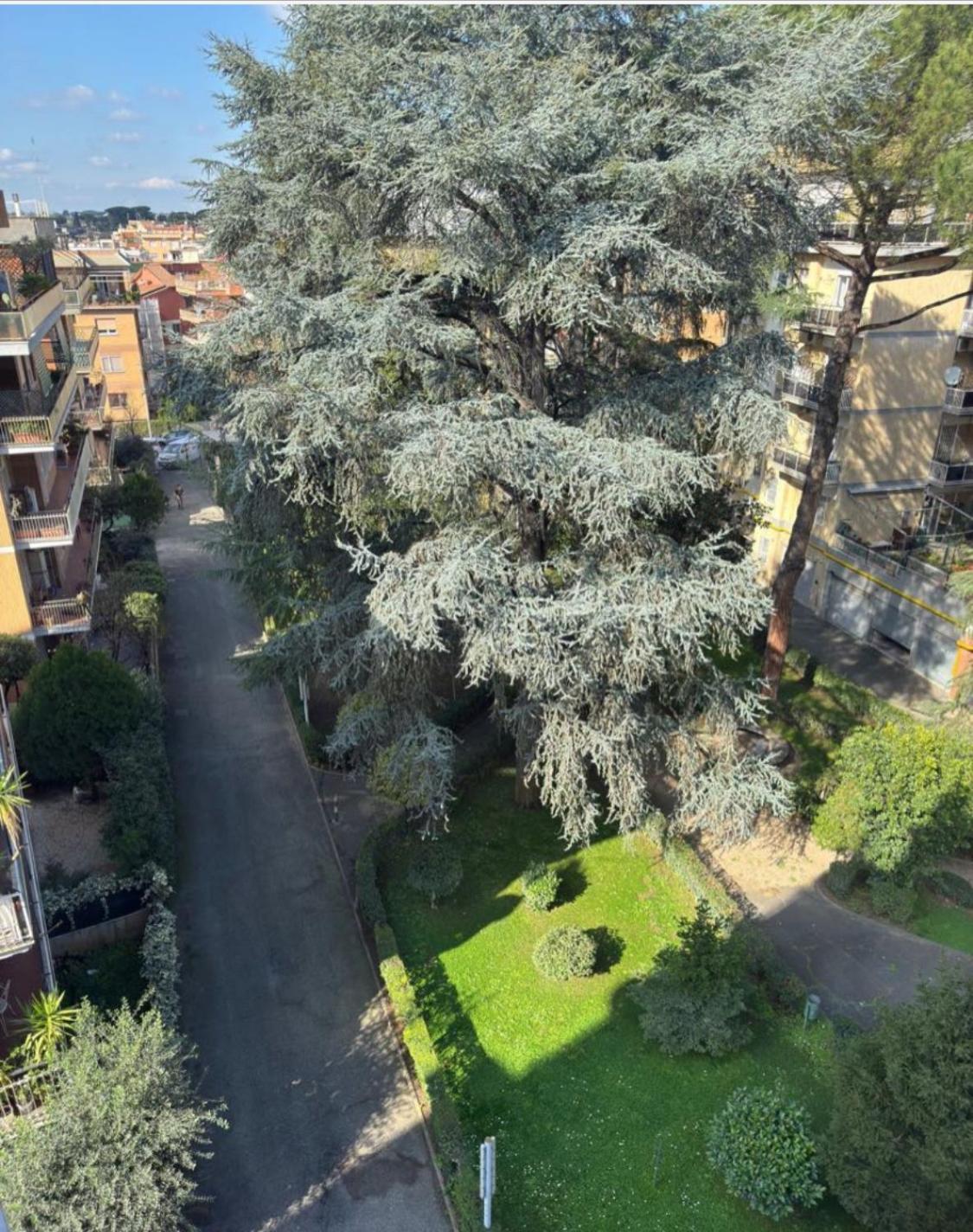 Apartment 4m *
